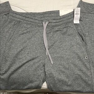 American Eagle Outfitters Gray Joggers with Elastic Waistband